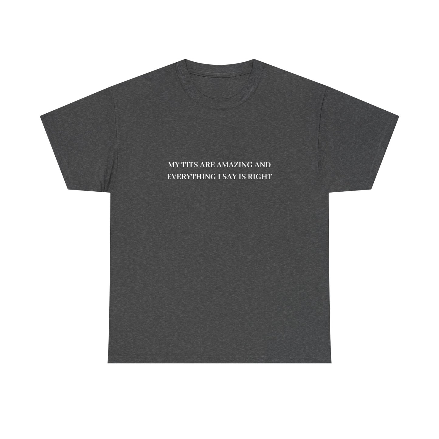 My Tits Are Amazing Tee (K&I)