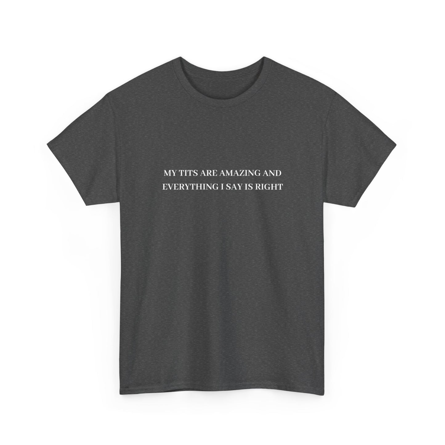 My Tits Are Amazing Tee (K&I)